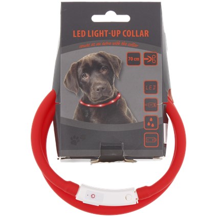 Collier LED rechargeable
