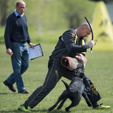 Baton de dressage pour chien