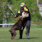 Baton de dressage pour chien