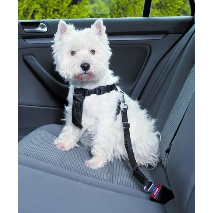 Ceinture De Sécurité Pour Chien En Voiture - Nylon Ajustable - Pour Harnais - Anti-choc - 7