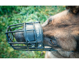 GAPPAY - Muselière corbeille en métal noir pour Malinois ♂️♀️