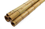 Baton de dressage en bambou fin
