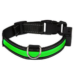 Collier lumineux à LED Eyenimal, vert pour chien 45cm / 65cm
