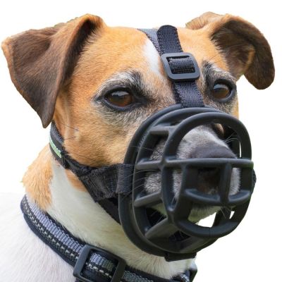 Muselière Baskerville Ultra 2.0 pour chien