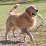 Jouet Airdog Fetch stick avec corde taille L