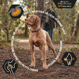 PURINA PRO PLAN Large Athletic Adult poulet 14kg