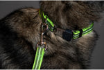 Collier et laisse SPRENGER ajustable - réfléchissant, vert