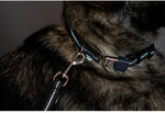 Collier et laisse SPRENGER ajustable - réfléchissant, Noir