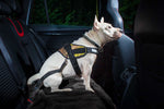 Ceinture de sécurité de voiture pour chiens julius k9