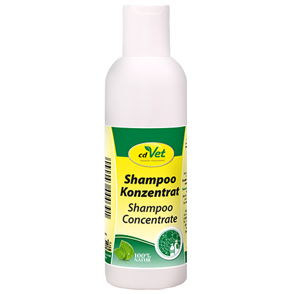 Concentré de shampooing