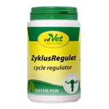 Régulation du cycle chez la chienne