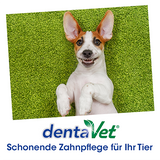 Dentifrice et produits de soin des dents en un seul produit