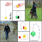 Balle Top-Matic à système magnétique pour l'éducation du chien