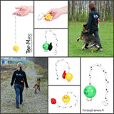 Balle Top-Matic à système magnétique pour l'éducation du chien