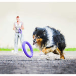 jouet PULLER ultra-résistant pour chiens sportifs ( 2 pièces)